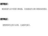 3.3怎样防止铁生锈（PPT+素材）