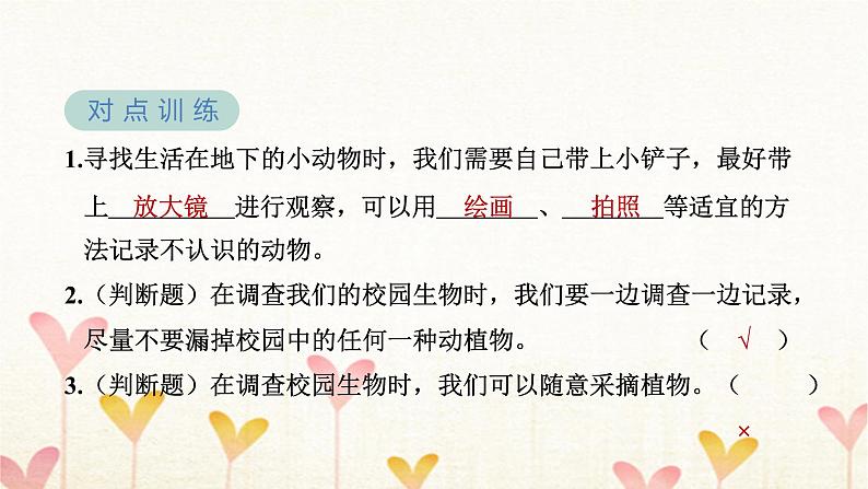 教科版六年级科学下册第2单元第1课时校园生物大搜索习题课件+学案06