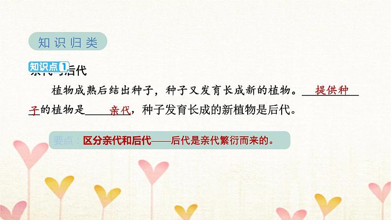 教科版六年级科学下册第2单元第3课时形形色色的植物习题课件第3页