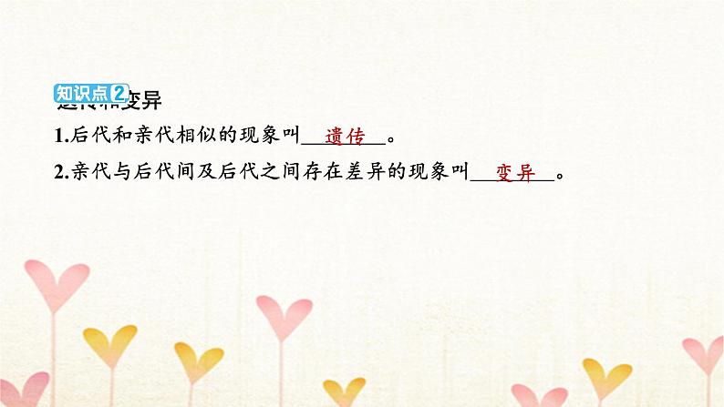 教科版六年级科学下册第2单元第3课时形形色色的植物习题课件第4页