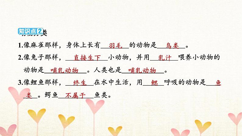 教科版六年级科学下册第2单元第4课时多种多样的动物习题课件第4页