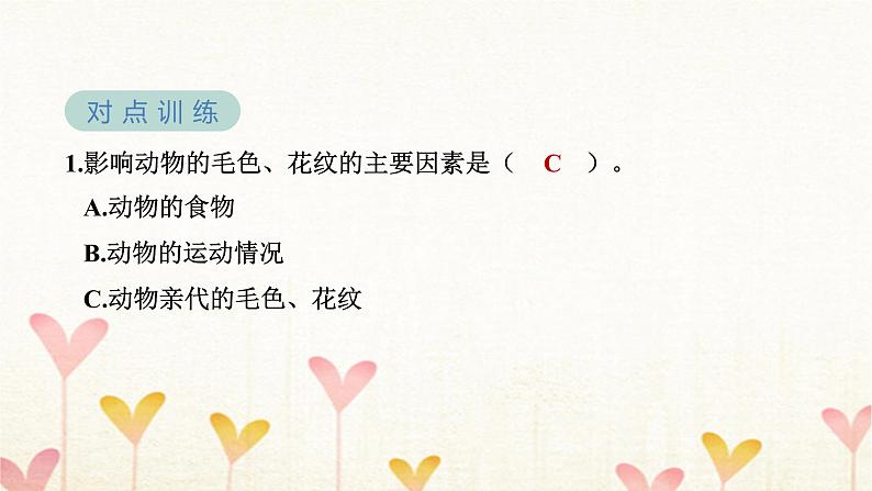 教科版六年级科学下册第2单元第4课时多种多样的动物习题课件第6页