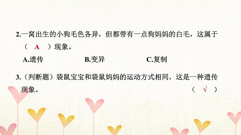 教科版六年级科学下册第2单元第4课时多种多样的动物习题课件第7页