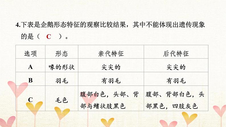 教科版六年级科学下册第2单元第4课时多种多样的动物习题课件第8页