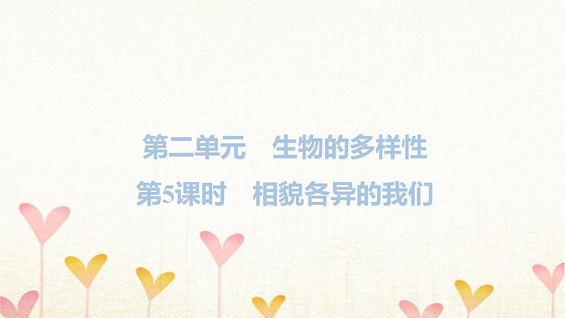 教科版六年级科学下册第2单元第5课时相貌各异的我们习题课件第1页