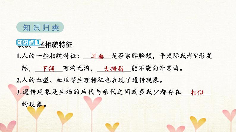 教科版六年级科学下册第2单元第5课时相貌各异的我们习题课件第3页