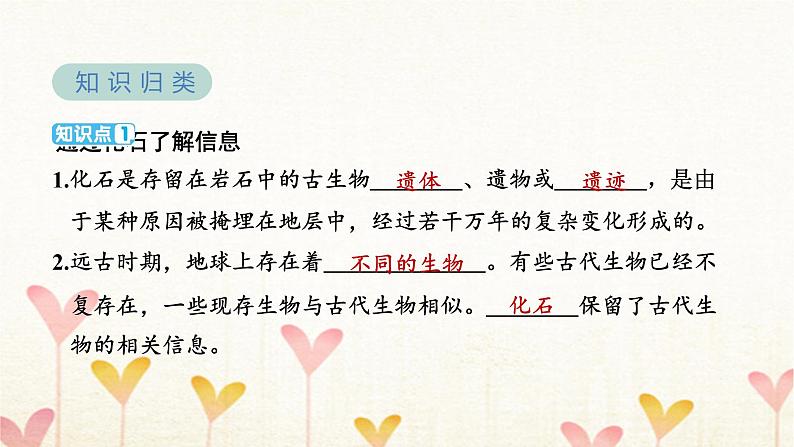 教科版六年级科学下册第2单元第6课时古代生物的多样性习题课件+学案03