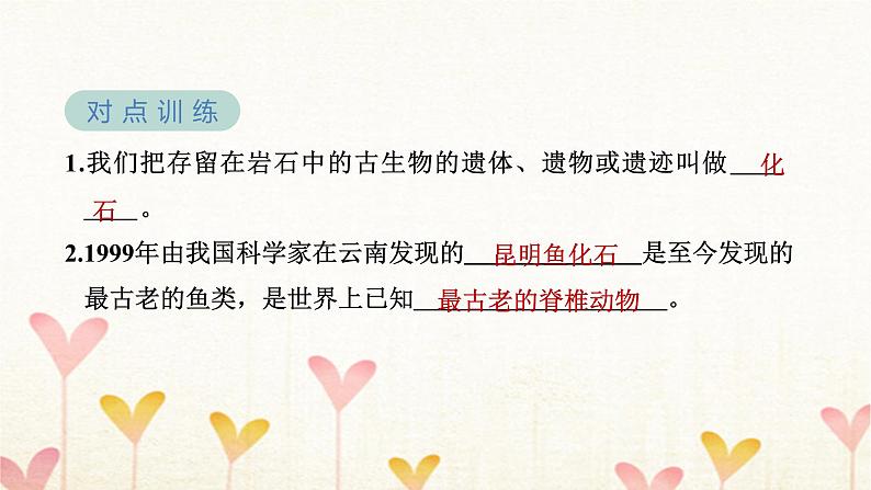 教科版六年级科学下册第2单元第6课时古代生物的多样性习题课件+学案06