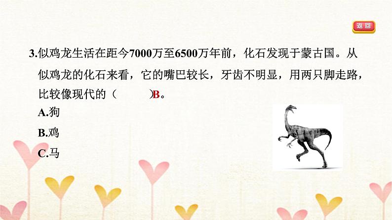 教科版六年级科学下册第2单元第6课时古代生物的多样性习题课件+学案07