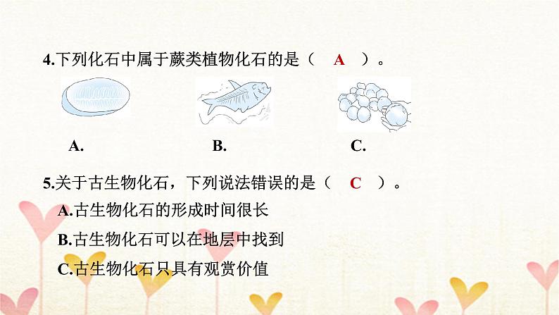 教科版六年级科学下册第2单元第6课时古代生物的多样性习题课件+学案08