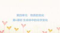 教科版 (2017)六年级下册6.生命体中的化学变化习题课件ppt