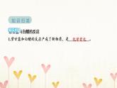 教科版六年級科學下冊第4單元第7課時美麗的化學變化習題課件+學案