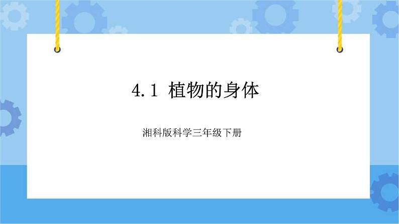 4.1植物的身体-湘科版科学三年级下册同步课件01