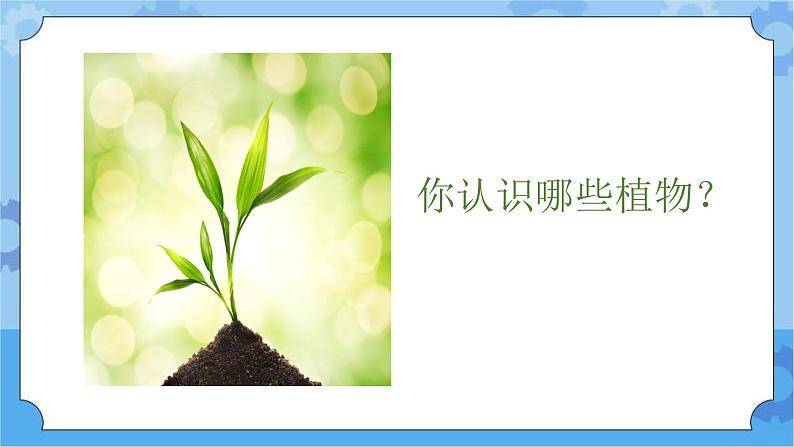 4.1植物的身体-湘科版科学三年级下册同步课件02