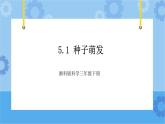 5.1种子萌发 课件+素材-湘科版科学三年级下册同步课件