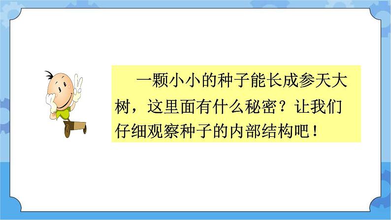 5.1种子萌发 课件+素材-湘科版科学三年级下册同步课件08