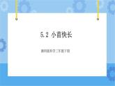 5.2小苗快长-湘科版科学三年级下册同步课件