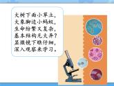 1·神奇的显微镜_湘科版（2017）科学五年级下册教学课件