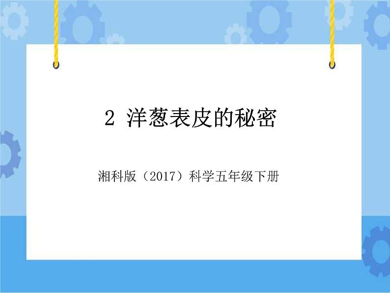 2·洋葱表皮的秘密_湘科版（2017）科学五年级下册教学课件01