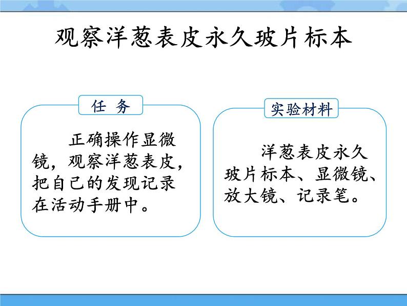 2·洋葱表皮的秘密_湘科版（2017）科学五年级下册教学课件06