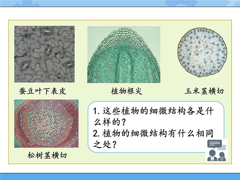 3·细胞_湘科版（2017）科学五年级下册教学课件05