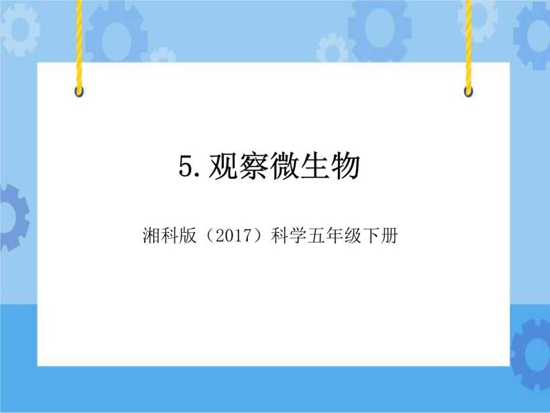 5·观察微生物_湘科版（2017）科学五年级下册教学课件01