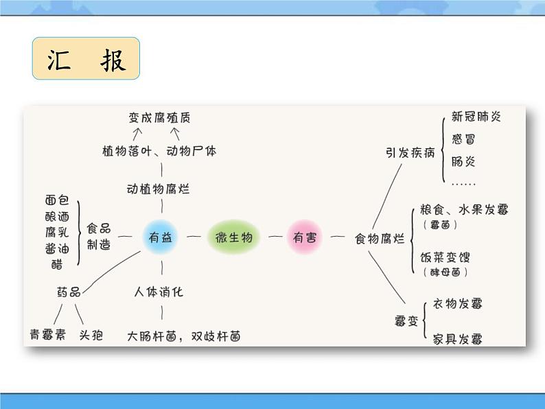 6·微生物和我们_湘科版（2017）科学五年级下册教学课件08
