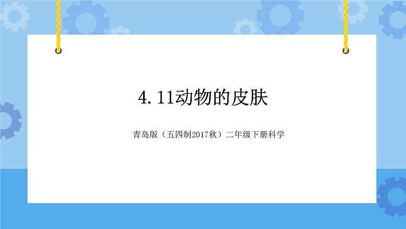 青岛版（五四制2017秋）二年级下册科学4.11动物的皮肤课件01