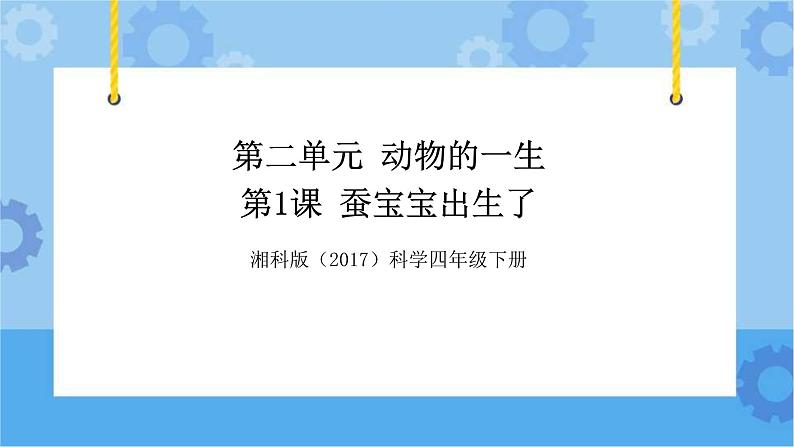 湘科版（2017） 四年级下册2.1蚕宝宝出生了（课件+视频引导）01