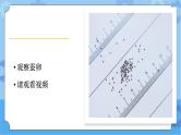 湘科版（2017） 四年级下册2.1蚕宝宝出生了（课件+视频引导）