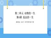 湘科版（2017） 四年级下册2.4昆虫的一生（课件+视频引导）