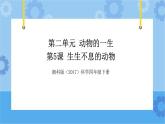湘科版（2017） 四年级下册2.5生生不息的动物（课件+视频引导）