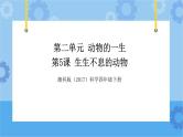 湘科版（2017） 四年级下册2.5生生不息的动物（课件+视频引导）