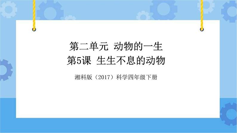 湘科版（2017） 四年级下册2.5生生不息的动物（课件+视频引导）01