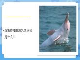 湘科版（2017） 四年级下册3.4人类对生物的影响（课件+视频引导 ）