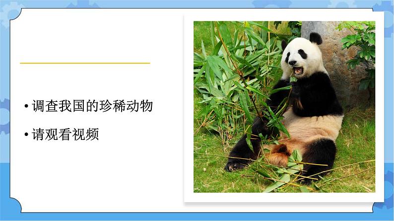 湘科版（2017） 四年级下册3.4人类对生物的影响（课件+视频引导 ）03