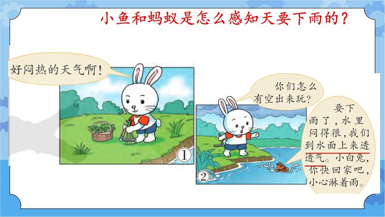 《动物的适应能力》（课件) 四年级下册科学大象版04