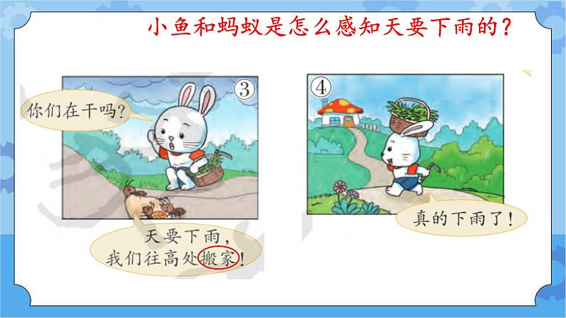 《动物的适应能力》（课件) 四年级下册科学大象版05