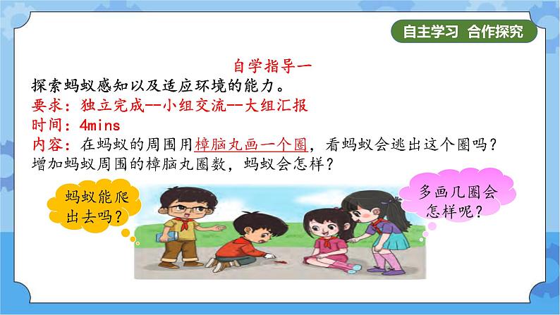 《动物的适应能力》（课件) 四年级下册科学大象版06