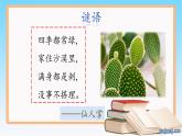 《奇妙的植物》（课件）四年级下册科学大象版