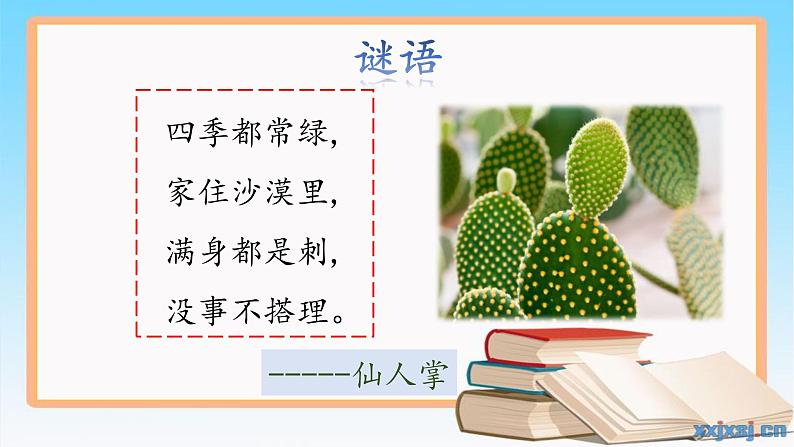 《奇妙的植物》（课件）四年级下册科学大象版02