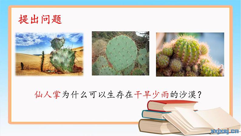 《奇妙的植物》（课件）四年级下册科学大象版03