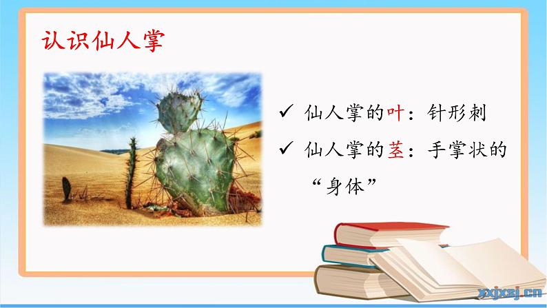 《奇妙的植物》（课件）四年级下册科学大象版04