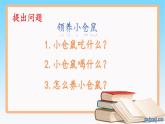 《领养小仓鼠》（课件）四年级下册科学大象版