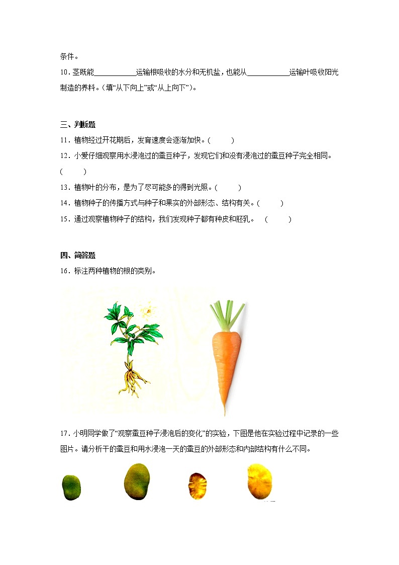 科学教科版四年级下册单元检测 第一单元 植物的生长变化02