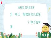 四年级科学下册第一单元7.《种子的传播》课件 教科版 - 副本 - 副本