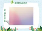 四年级科学下册第一单元7.《种子的传播》课件 教科版 - 副本 - 副本