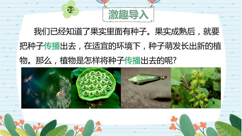 四年级科学下册第一单元7.《种子的传播》课件 教科版 - 副本 - 副本.pptx  -  已修复02