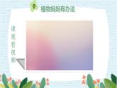 四年级科学下册第一单元7.《种子的传播》课件 教科版 - 副本 - 副本.pptx  -  已修复