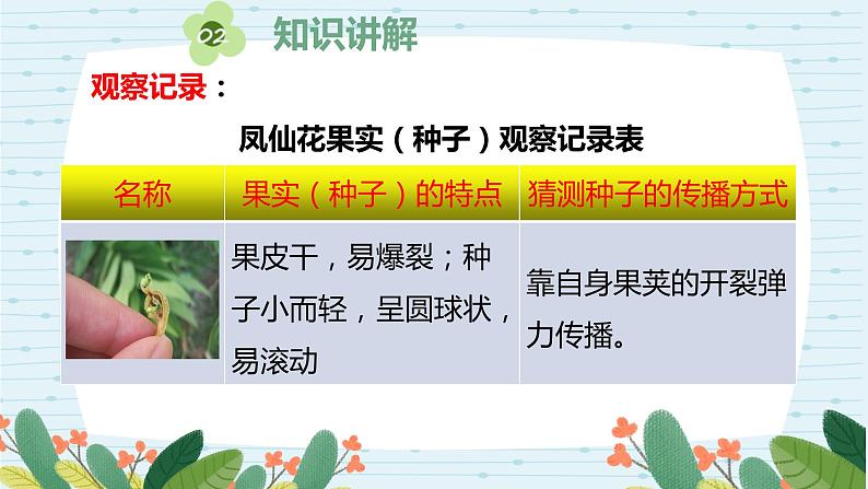 四年级科学下册第一单元7.《种子的传播》课件 教科版 - 副本第7页